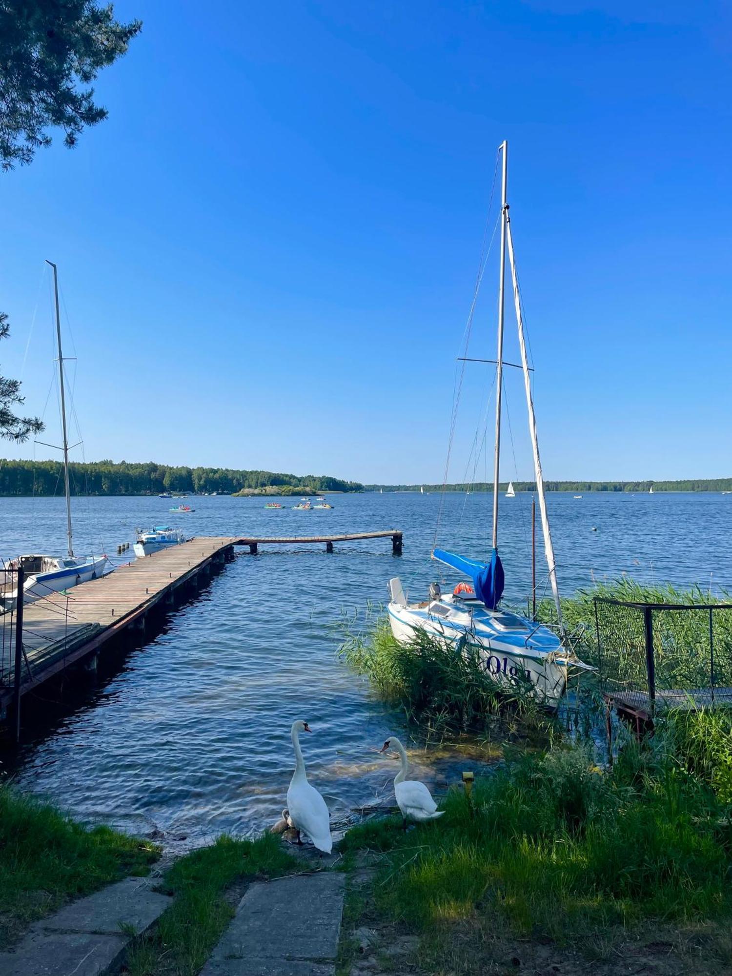 Oaza Pieczyska Hotell Koronowo Exteriör bild